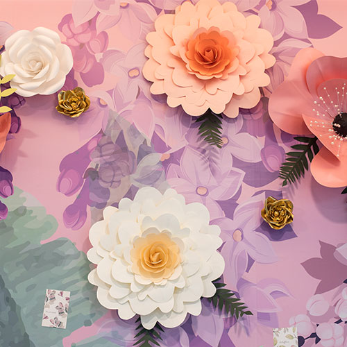 Our client's case study