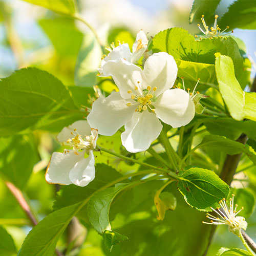 Our client's case study