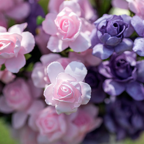 Our client's case study