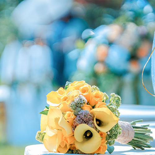 Our client's case study