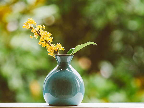 Manufacturing products for daily life