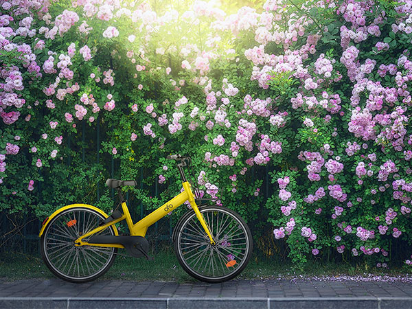 Manufacturing products for daily life